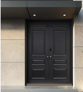 High Quality Modern Security Aluminum Alloy Entry Door with Smart Lock