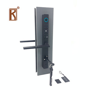 Ultra Narrow Frame Smart Lock Door
